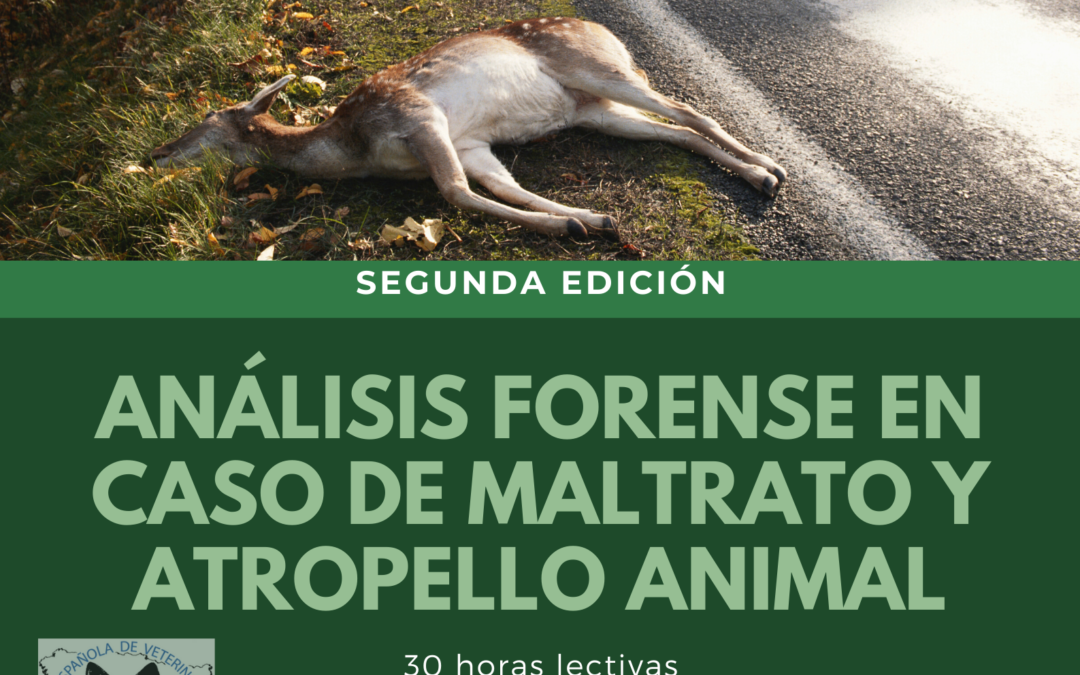 SEGUNDA EDICIÓN DEL CURSO SOBRE MALTRATO Y ATROPELLO ANIMAL
